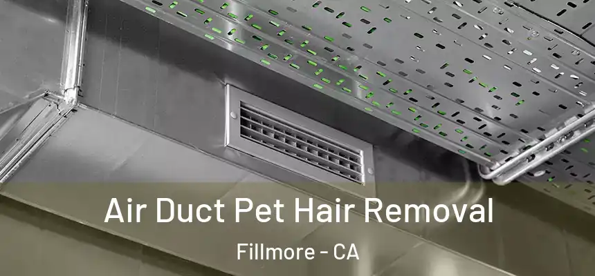  Air Duct Pet Hair Removal Fillmore - CA