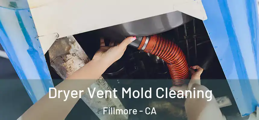  Dryer Vent Mold Cleaning Fillmore - CA