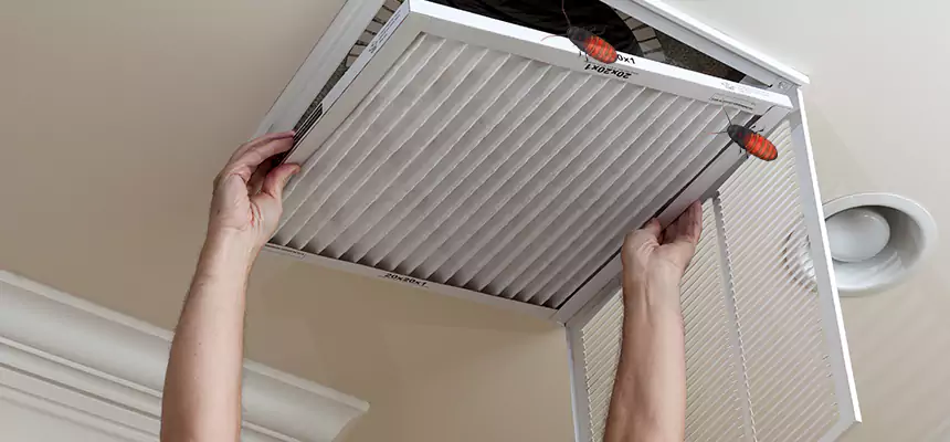 Preventive Cockroach-Proofing for Ducts in Fillmore