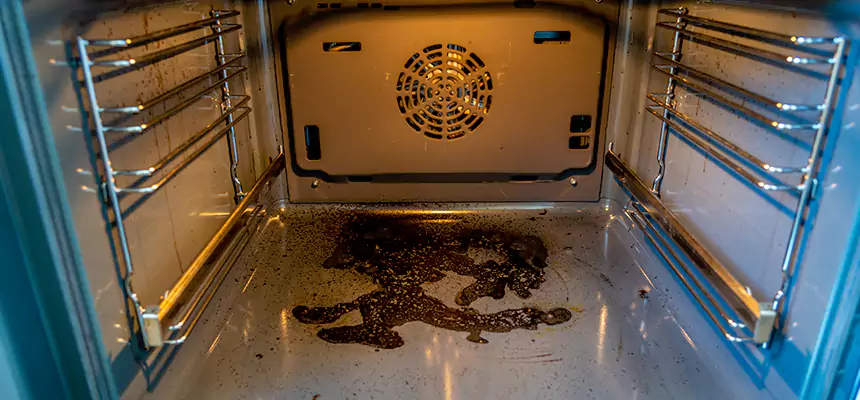 Our Dryer Vent Mold Cleaning Services in Fillmore, CA