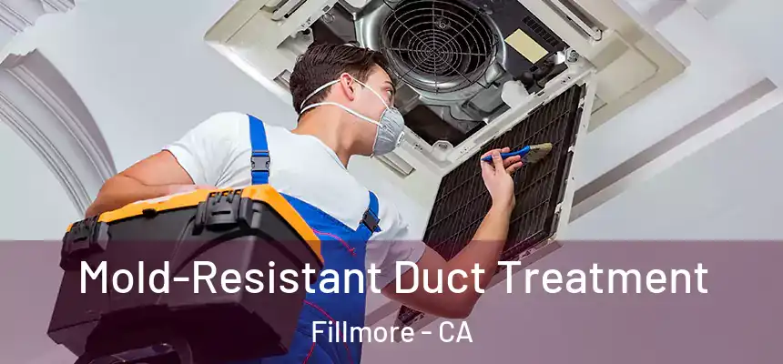  Mold-Resistant Duct Treatment Fillmore - CA