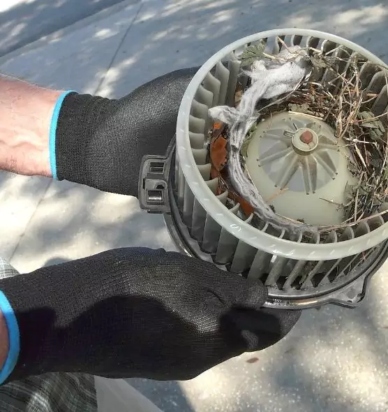 About Air Duct Rat Removal in Fillmore, CA