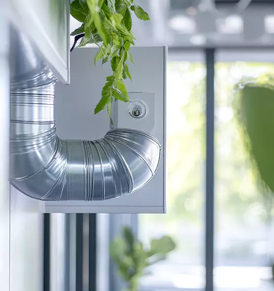 Professional Eco-Safe Dryer Vent Cleaning in Fillmore, CA