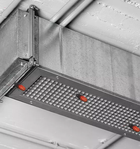 Affordable Insect Removal from Air Ducts in Fillmore, CA